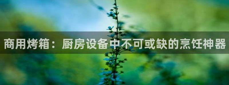 尊龙凯时一人生就是博登入：商用烤箱：厨房设备中不可或缺的烹饪