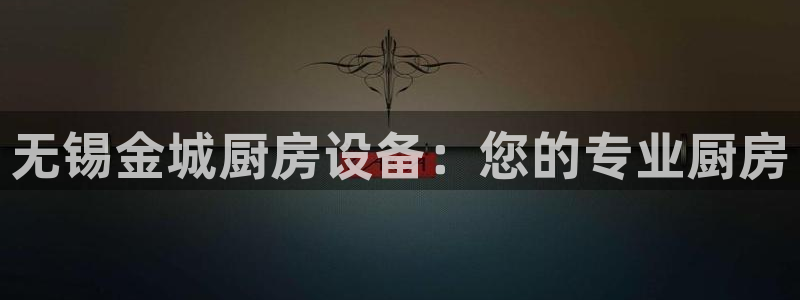 尊龙集团有限公司官网地址：无锡金城厨房设备：您的专业厨房