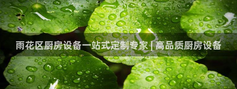 尊龙凯时代理佣金发不发：雨花区厨房设备一站式定制专家 | 高