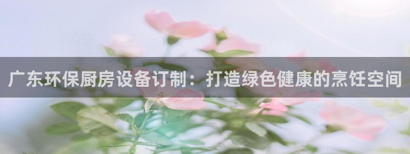 尊龙登录会员登录：广东环保厨房设备订制：打造绿色健康的烹饪空